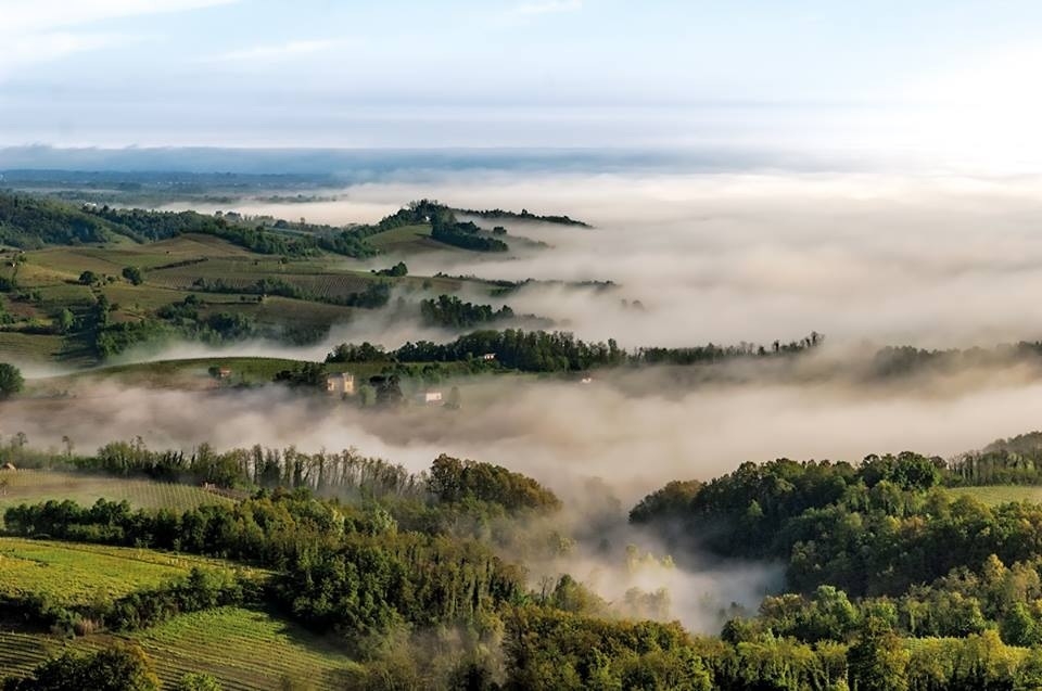 Nebbia2